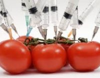 Test Detects Genetic Modification in Food