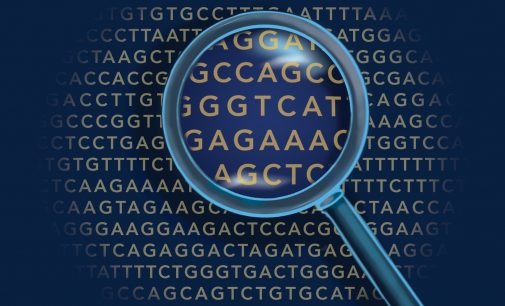 All change as researchers find new meanings in our genetic code