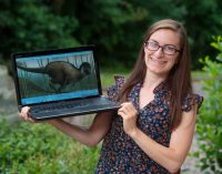 UCC researcher and team make landmark dinosaur discovery