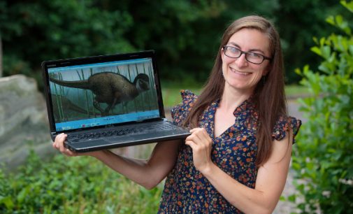 UCC researcher and team make landmark dinosaur discovery