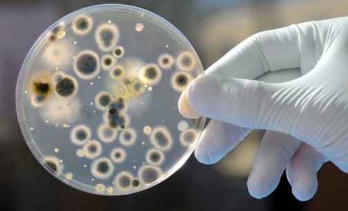 Scientists in Belfast develop new gel to fight superbugs