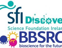 BBSRC and SFI launch new collaborative research funding opportunities
