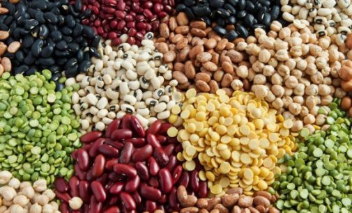 Report Finds Growth Potential For EU Plant Proteins