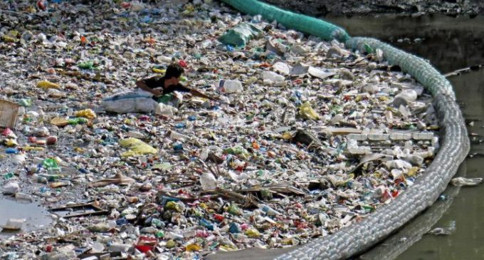 WHO Calls For More Research into Microplastics and a Crackdown on Plastic Pollution