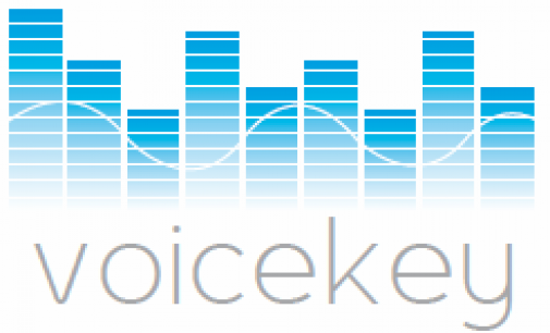 Voicekey Gets UK Innovation Agency Backing for M-Commerce Tech