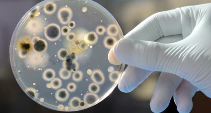 Scientists in Belfast develop new gel to fight superbugs