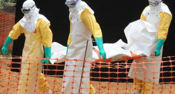 Rapid and durable protection against Ebola virus with new vaccine regimens