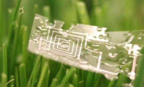 World’s first dissolvable microchip created by researchers