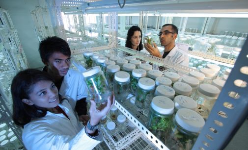 Government Invested €761 Million in Research & Development in 2016