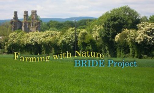 New Project Rewards Farming With Nature in East Cork