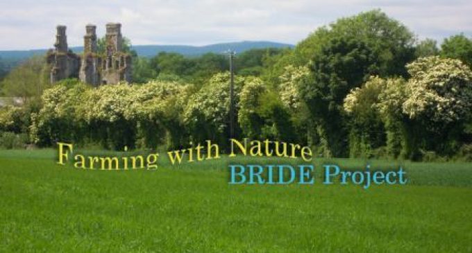 New Project Rewards Farming With Nature in East Cork