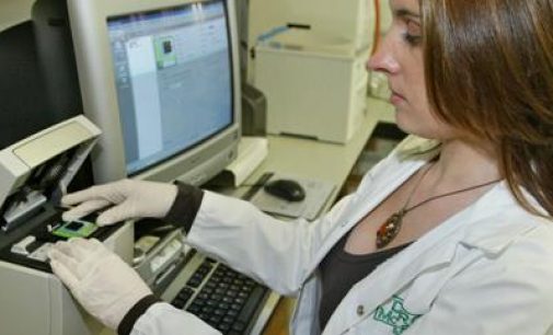 Teagasc Joint 5th Among Research Organisations in Europe