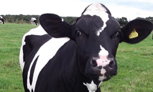 Teagasc Appoints Two New Dairy Specialists