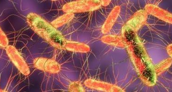 Salmonella Cases in Humans – Assessing Current EU Reduction Targets