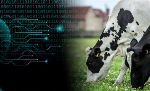 New Artificial Intelligence Tool Predicts How Much Milk 1.5 Million Cows Will Produce