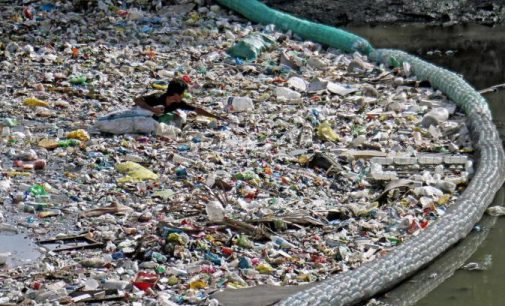 WHO Calls For More Research into Microplastics and a Crackdown on Plastic Pollution