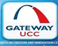 Gateway UCC Creates 370 Jobs by Supporting 60 Start-ups